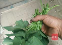 炒野菜的做法图解1
