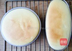 酸奶芝士蛋糕的做法图解14