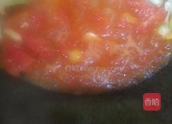 西红柿炒菜花的做法图解4