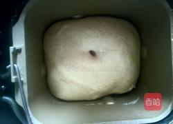 椰蓉提子泡浆全麦面包的做法图解4