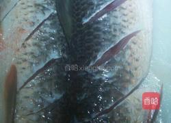 清蒸野鲮的做法图解2