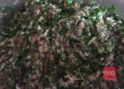 猪肉三鲜大馅水饺的做法图解5