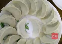 黄瓜鸡蛋虾仁饺子的做法图解5