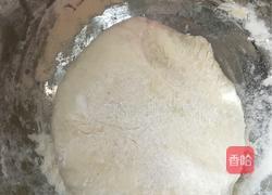 黄瓜猪肉水饺的做法图解4