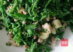 洋瓜尖炒肉末的做法图解7