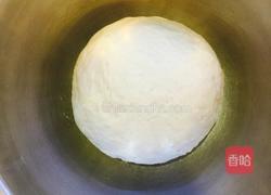 椰蓉花朵面包的做法图解4