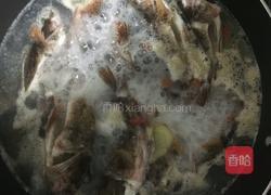 宝宝石斑鱼汤的做法图解5