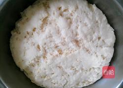 豇豆青椒猪肉馅包子的做法图解16