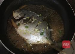 红烧鲳鱼的做法图解8