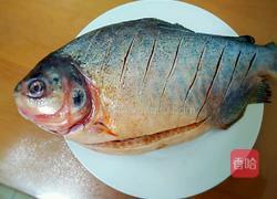 清蒸武昌鱼的做法图解1