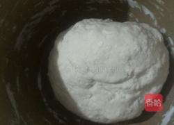 鲜香杂烩包子的做法图解1