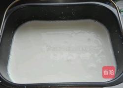 自制酸奶的做法图解7