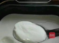 自制酸奶的做法图解13