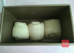 全麦中种土司的做法图解6