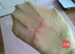 全麦红糖红枣欧包的做法图解4