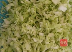 健康白菜肉包的做法图解6