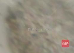 健康白菜肉包的做法图解9
