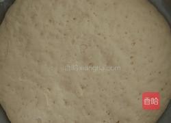 健康白菜肉包的做法图解10