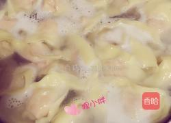鲜肉虾仁馄饨的做法图解13