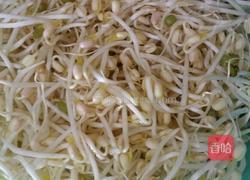 绿豆芽的做法图解2