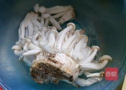 蚝油茶树菇的做法图解1