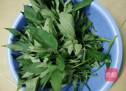 蒜蓉红薯叶的做法图解1