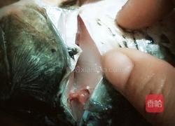 红烧鲤鱼的做法图解2