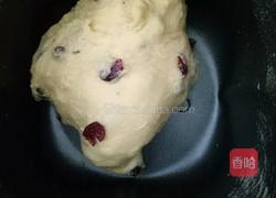 蔓越莓小餐包的做法图解5