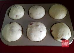 蔓越莓小餐包的做法图解9