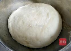 淡奶油土司（冷藏中种法）的做法图解4