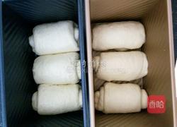 淡奶油土司（冷藏中种法）的做法图解13