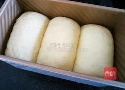 蛋黄土司（冷藏中种法）的做法图解15