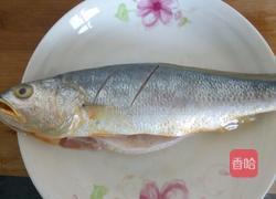 番茄鱼的做法图解1