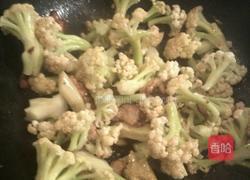 红烧菜花的做法图解4