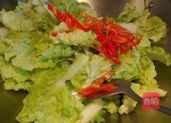 炒白菜的做法图解3