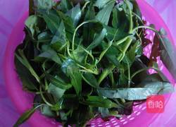 炒空心菜的做法图解1