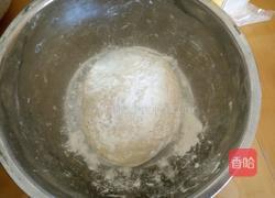 菜肉包子的做法图解2
