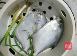 红烧鲳鱼的做法图解1