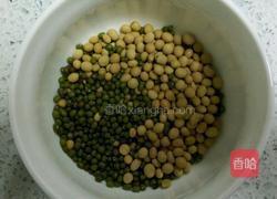 冰豆浆的做法图解1
