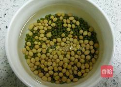 冰豆浆的做法图解2