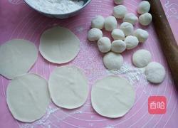 快速煎饺的做法图解5