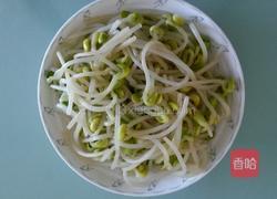 清炒黄豆芽的做法图解2
