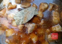 红烧肉炖粉条的做法图解5