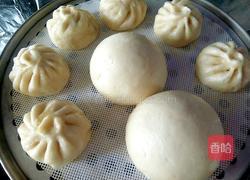 黄瓜包子的做法图解24