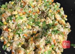 多元素炒饭（儿童版）的做法图解10