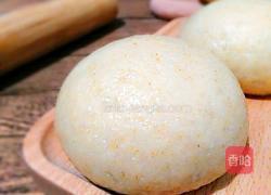全麦馒头的做法图解7