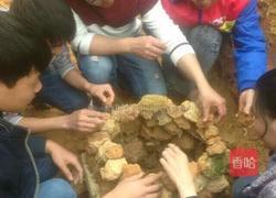 土窑鸡的做法图解1