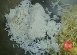 绿豆芽蛋炒饭的做法图解4