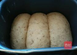 荞麦面包的做法图解9