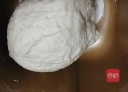 酸菜粉条肉包子的做法图解3